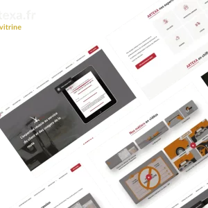 AYOUB-BOUDAFDAFA-Developpeur-web-Auto-entrepreneur-site-vitrine-artexa